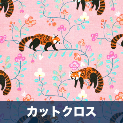 åȥ Dashwood Studio / Blossom Days 2344 Lesser Panda