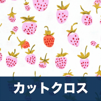 åȥ Windham Fabrics Heather Ross 20th Anniversary 37024A-2 Strawberry