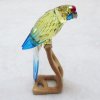 ե֥꡼󡦥ס Green Rosella Jonqui Birds of Paradise901601