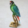スワロフスキー 「コンゴウインコ　Green Macaw」685824