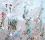 別野加奈 「海辺の花屋」 - more records