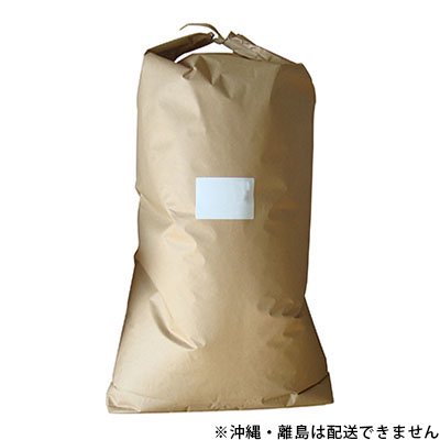 食品北海道産 大豆25kg - 米/穀物