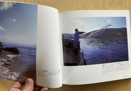 口豪奢 ガリラヤの春 ～イエスの足跡を慕って～| 聖書やキリスト教書籍 その他