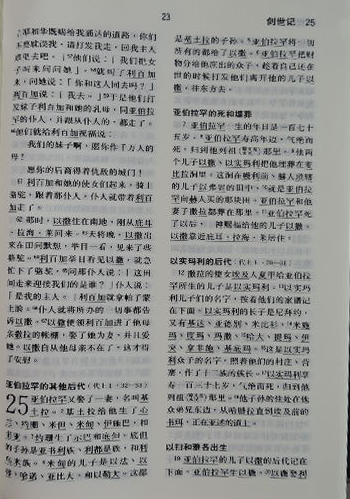 中国語旧新約聖書(神版・簡体字) CUNPSS63TI(黒) サム 中国語旧新約聖書(神版・簡体字) CUNPSS63TI(黒) サム