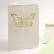#183　BÜTTE カード（蝶）の商品画像