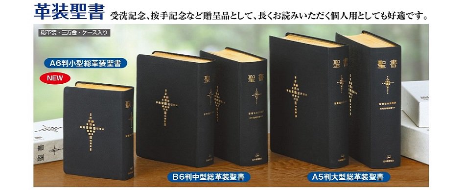 ☆3/聖書 口語訳 皮装 日本聖書協会 - 人文、社会