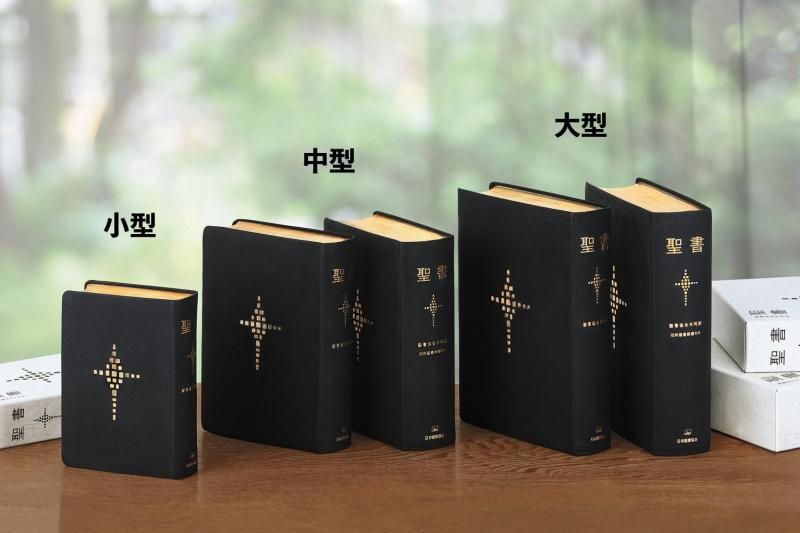 聖書協会共同訳 総革装大型 SI68