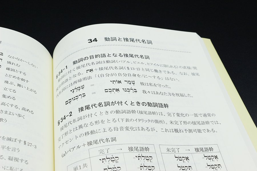 聖書ヘブライ語文法 改訂版/青山社（相模原）/小脇光男
