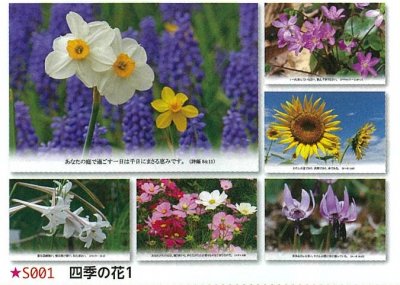 【DAG掲載/取り寄せ】フラワーポストカード　四季の花1　はがきサイズ6枚セット　S001の商品画像