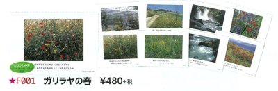 フォトポストカードセット　ガリラヤの春　F001の商品画像