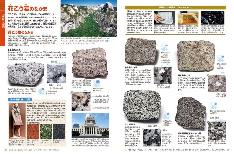 岩石・鉱物・化石 DVDつき (小学館の図鑑NEO 18)