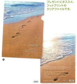 【Olives掲載/取り寄せ】A4クリアファイル　フットプリント　50082の商品画像