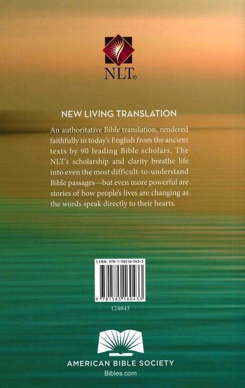 英語版　聖書　スタディーバイブル　New Living Translation 81gVyO6SWoL._UF350,350_QL50_.jpg