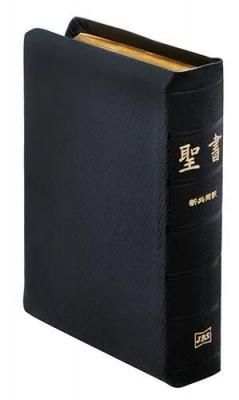 新共同訳 旧約聖書注解・新約聖書注解 全5冊揃い(川島貞雄 ほか