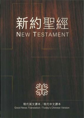 ピウス12世版ラテン語訳詩篇と対照の英語の祈祷書-ショップ格安