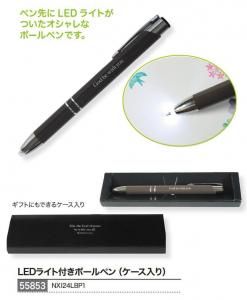 ڼ󤻡LED饤դܡڥʥ55853ξʲ