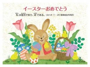 AVACOɡE2509ʤϤ1/2 10Ȥξʲ