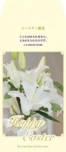 ڼ󤻡ۡ(30)ꡡ500101<img class='new_mark_img2' src='https://img.shop-pro.jp/img/new/icons29.gif' style='border:none;display:inline;margin:0px;padding:0px;width:auto;' />ξʲ