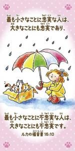 ڼ󤻡ۤߤȤ13ߥ˥(10)䤵500233ˤξʲ