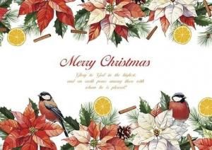 ڼ󤻡ۥꥹޥ(դ)Ļȥݥ󥻥500080ˤξʲ