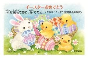 AVACOɡE2510ʤϤ1/4 10Ȥξʲ