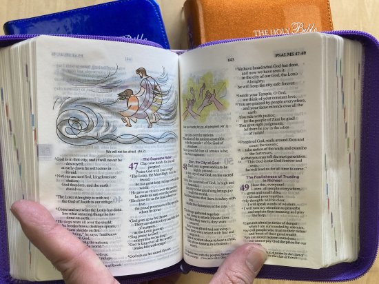 英語 聖書 TEV第2版 ジッパー付 TEV35紫 | 聖書やキリスト教書籍の通販サイト - バイブルハウス南青山