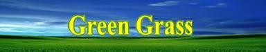 Green Grass