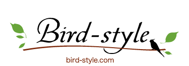 ĻߡĻŹBird-style