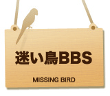 迷い鳥BBS