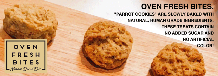 parrotcookies