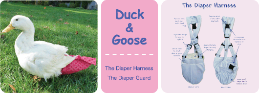 Duck&Goose