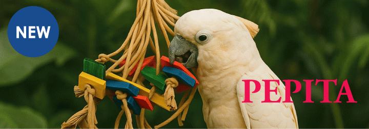 11　ロング　自然素材　ウッドクライミング　インコ　ガジガジバードトイ 11 ロング 自然素材 ウッドクライミング インコ ガジガジバード