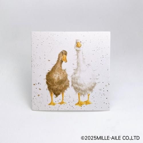 ダックペア／アヒルのグリーティングカード | 英国製 - 鳥雑貨・鳥