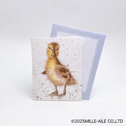アヒルのミニメッセージカード | Wrendale - 鳥雑貨・鳥おもちゃ