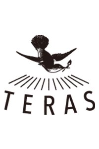 TERAS companyロゴ
