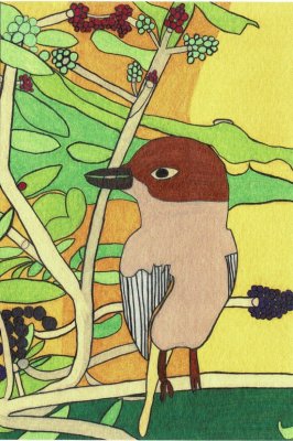 ポストカード<br>「ジョウビタキ（鳥）とくだ物の木」