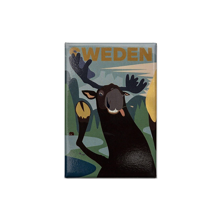 Swedish selfie by Agnieszka W&#281;glarska 2020ޥͥå<img class='new_mark_img2' src='https://img.shop-pro.jp/img/new/icons11.gif' style='border:none;display:inline;margin:0px;padding:0px;width:auto;' />