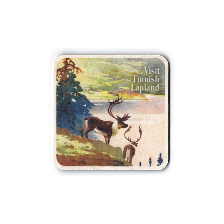 Visit Finnish Lapland 1950's˥(1010cm)<img class='new_mark_img2' src='https://img.shop-pro.jp/img/new/icons11.gif' style='border:none;display:inline;margin:0px;padding:0px;width:auto;' />