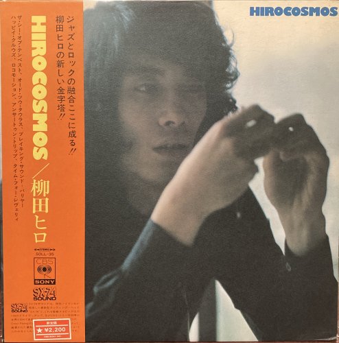 柳田ヒロ / Hirocosmos - CURIOUS RECORDS