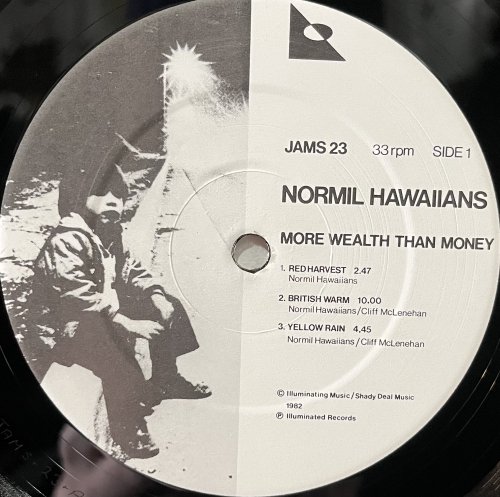 Normil Hawaiians / More Wealth Than Money - CURIOUS RECORDS