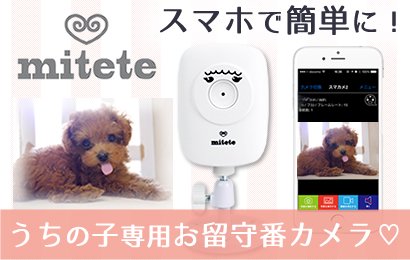 お留守番カメラ Mitete お持ちのスマートフォンでお家でお留守番中のうちの子を見守れます