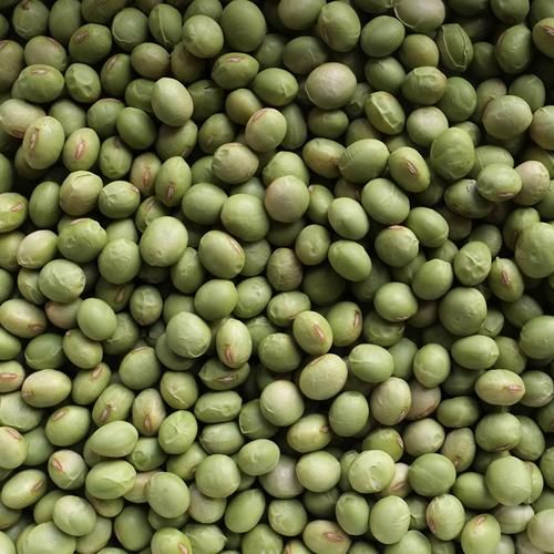 秘伝豆 森の家の作物のご購入 山形 伝承野菜 甚五右ヱ門芋 秘伝豆 森の家の作物のご購入 山形 伝承野菜 甚五右ヱ門芋