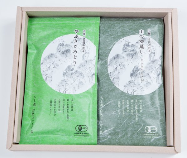 有機煎茶2袋セット（やぶきたみどり100ｇ・深蒸し茶100ｇ） - 人と農