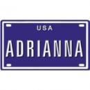 <img class='new_mark_img1' src='https://img.shop-pro.jp/img/new/icons1.gif' style='border:none;display:inline;margin:0px;padding:0px;width:auto;' />Adrianna USA mini metal embossed license plate name for bikes,tricycles,wagons,kids doors,