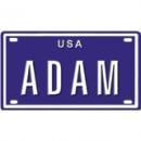 <img class='new_mark_img1' src='https://img.shop-pro.jp/img/new/icons1.gif' style='border:none;display:inline;margin:0px;padding:0px;width:auto;' />Blue Sabre Inc. Blue Sabre Inc.Adam USA