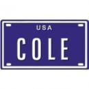 <img class='new_mark_img1' src='https://img.shop-pro.jp/img/new/icons1.gif' style='border:none;display:inline;margin:0px;padding:0px;width:auto;' />COLE USA MINI METAL EMBOSSED LICENSE PLATE NAME FOR BIKES,TRICYCLES,WAGONS,KIDS DOORS,GOLF