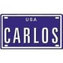 <img class='new_mark_img1' src='https://img.shop-pro.jp/img/new/icons1.gif' style='border:none;display:inline;margin:0px;padding:0px;width:auto;' />Blue Sabre Inc. Blue Sabre Inc.CARLOS US