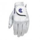 <img class='new_mark_img1' src='https://img.shop-pro.jp/img/new/icons1.gif' style='border:none;display:inline;margin:0px;padding:0px;width:auto;' />Cleveland Golf(クリーブランドゴルフ)CG PCAB LHC Glove Men's CG PCAB Left Hand Cadet Glove - 6-Pack