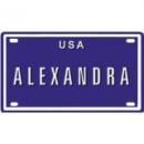 <img class='new_mark_img1' src='https://img.shop-pro.jp/img/new/icons1.gif' style='border:none;display:inline;margin:0px;padding:0px;width:auto;' />Blue Sabre Inc. Blue Sabre Inc.ALEXANDRA