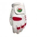 <img class='new_mark_img1' src='https://img.shop-pro.jp/img/new/icons1.gif' style='border:none;display:inline;margin:0px;padding:0px;width:auto;' />STEVEPRICEGOLF Stevepricegolf Junior White/ Red Golf Glove Size Medium Wales Golf Ball Marker